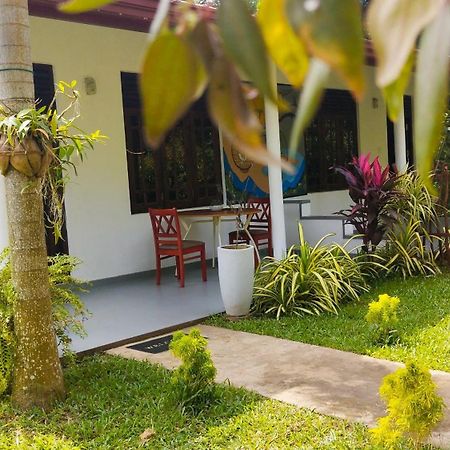 Eco Nest Marakolliya Bed and Breakfast Tangalle Buitenkant foto