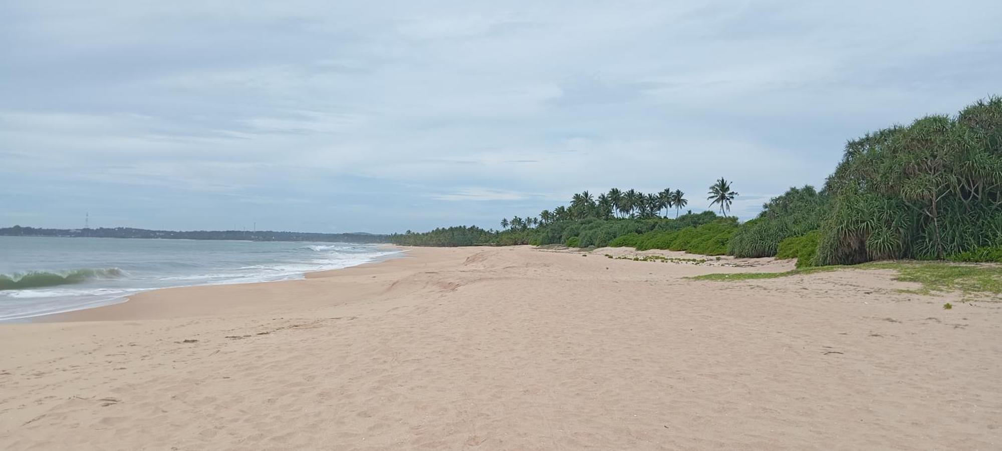 Eco Nest Marakolliya Bed and Breakfast Tangalle Buitenkant foto