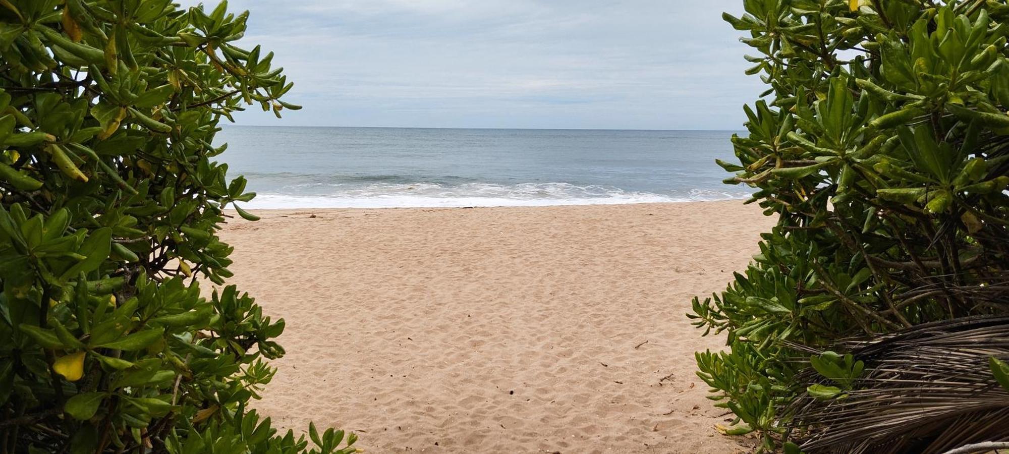 Eco Nest Marakolliya Bed and Breakfast Tangalle Buitenkant foto