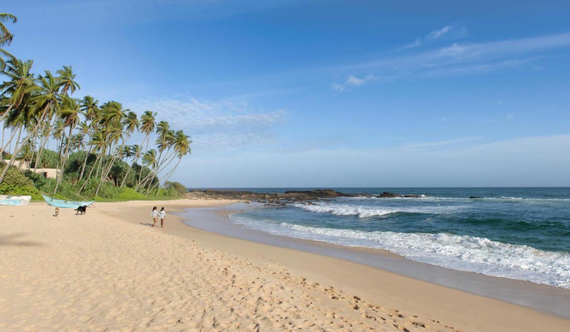 Eco Nest Marakolliya Bed and Breakfast Tangalle Buitenkant foto